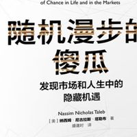 解构不确定性：《随机漫步的傻瓜》的洞察