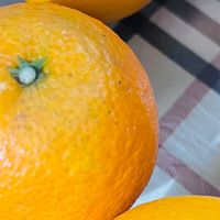 京鲜生爱媛果冻橙：一口爆汁的 “橙中果冻”，解锁秋冬鲜爽！