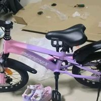 凤凰（Phoenix）儿童自行车儿童山地自行车小孩单车带辅