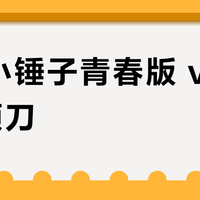 松下小锤子青春版 vs 3.0剃须刀？真实用户实测对比，结果在这