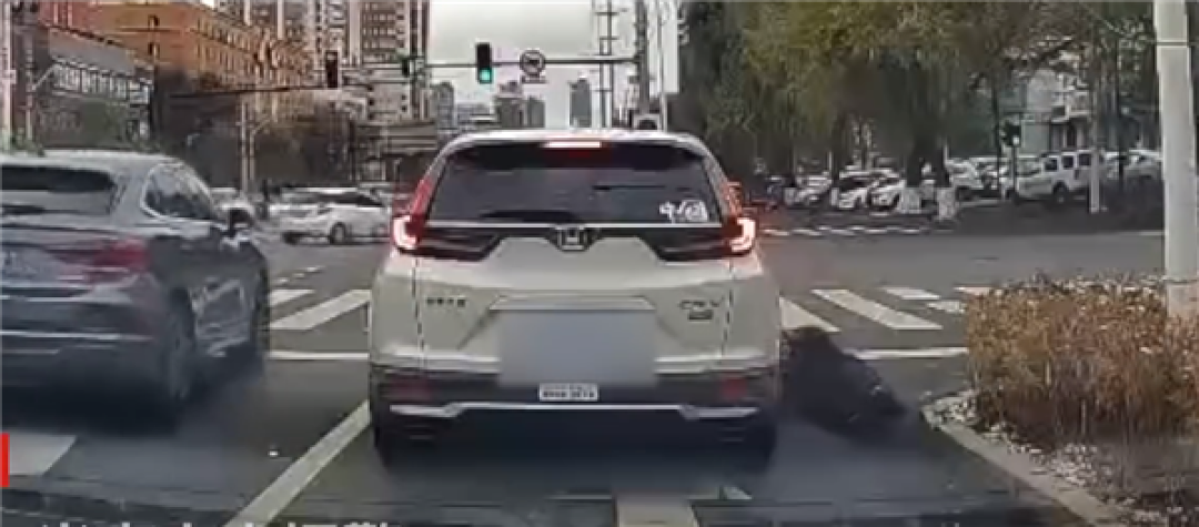 老人追上等红灯车辆碰下后备箱倒地 后车完整记录碰瓷全程:结果竟没追究责任