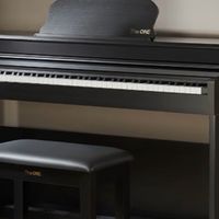 深棕立式电钢 郎朗同款教学