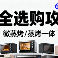 双十一 篇零：6大品牌35款，双11微蒸烤/蒸烤一体最全选购攻略