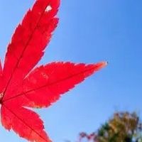 🍂秋日徒步全攻略｜宝妈带娃走遍山野的5个秘密㊙️