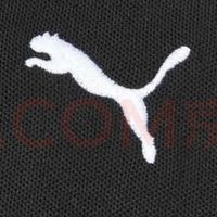 PUMA 528700 T恤，运动必备？