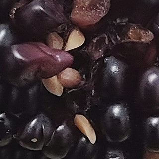 美味东北黑糯玉米，口感鲜甜软糯弹牙