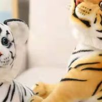 玩具老虎帅呆呆