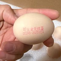 圣迪乐村生食鸡蛋体验