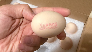 圣迪乐村生食鸡蛋体验