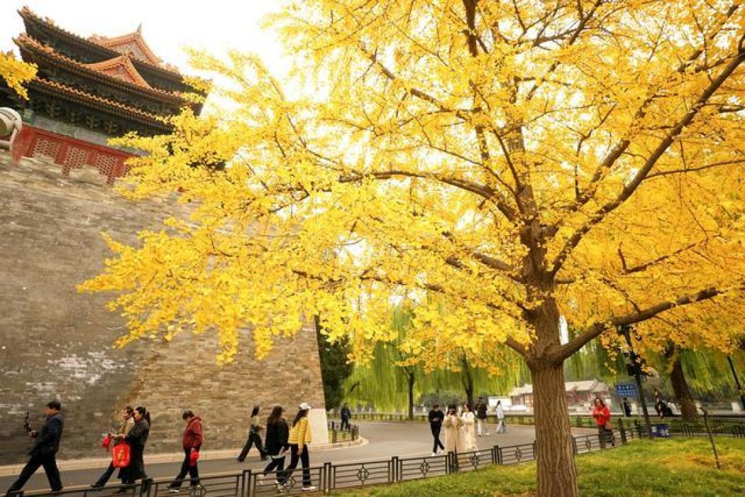 《故都秋色新章:琉璃瓦下的人间烟火与无人机灯共绘时空画卷》