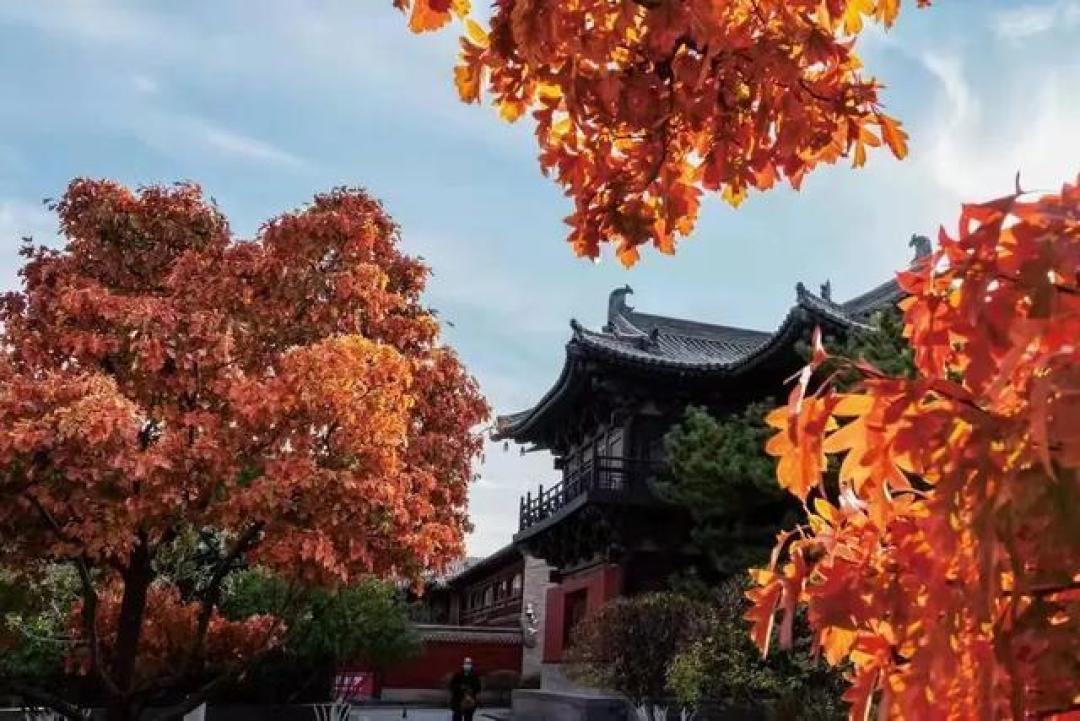 《故都秋色新章:琉璃瓦下的人间烟火与无人机灯共绘时空画卷》