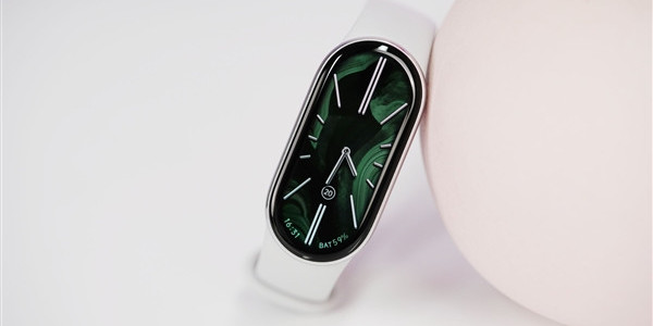 小米夺中国智能手环线上第一：份额独占64%遥遥领先