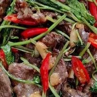 给你种草，香菜炒牛肉的详细步骤