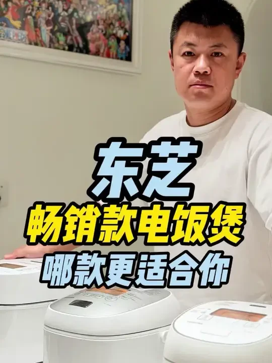 东芝进口电饭煲型号怎么选 一条视频就看懂#东芝云朵电饭煲 #东芝电饭煲 #东芝进口电饭煲 #东芝真空鲜饭煲#电饭煲