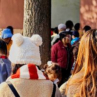 数码爱好者随笔 篇零：一五一十，详谈iQOO15手机的拍照功能的强大和乐趣多多