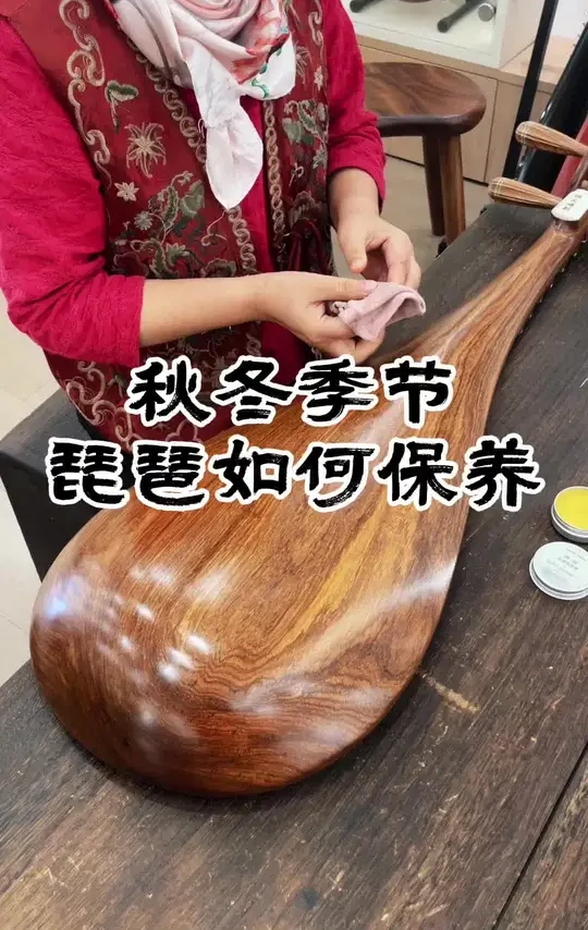 秋冬季节，我们的琵琶应该如何做保养？#原创视频 #传统手艺 #琵琶#秦弦唐音国乐城 #民族乐器
