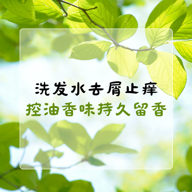 2025全新5款去屑止痒洗发水权威实测：止痒不干燥|控油不扁塌