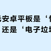 199元安卓平板是‘性价比神机’还是‘电子垃圾’？用户观点彻底撕裂