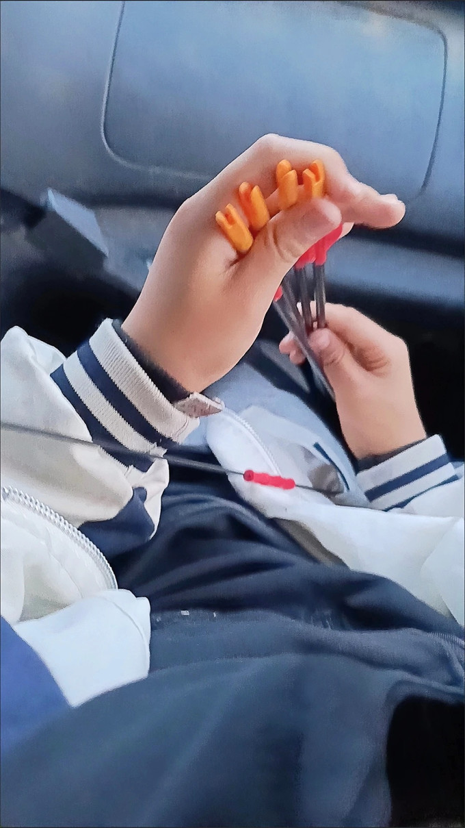 闪电狼积木拼插