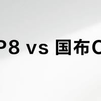 大行P8 vs 国布C系列？38位骑行老炮的真实选择在这