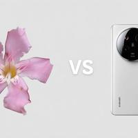 vivo X200 Ultra vs 小米15 Ultra vs OPPO Find X8 Ultra？87位用户实测告诉你谁是影像王者