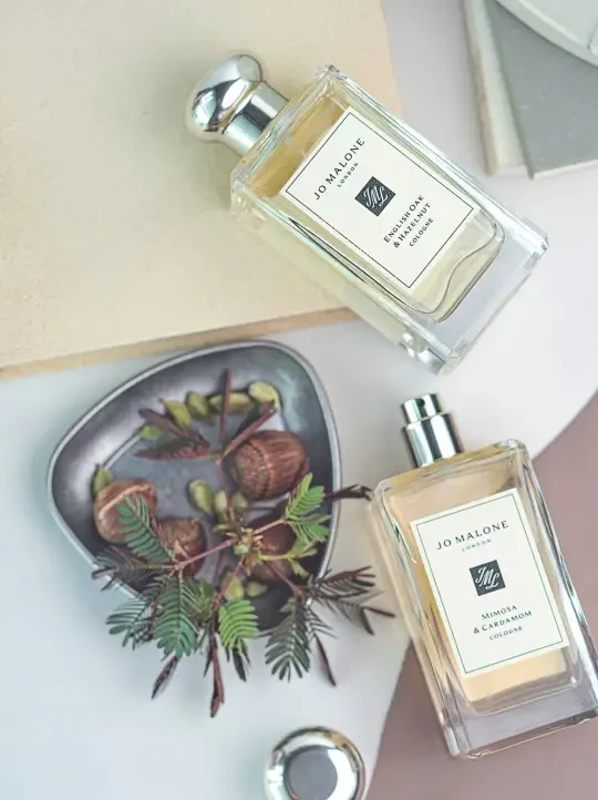 翻阅一隅深秋林地