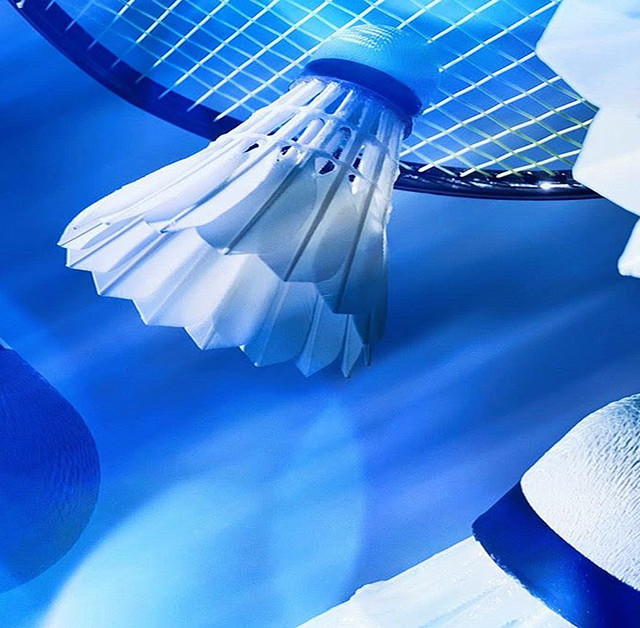 高性价比的口粮羽毛球