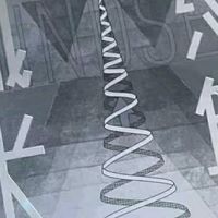 终身成长：思维模式如何影响成功