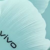 被低估的宝藏手机vivo Y300