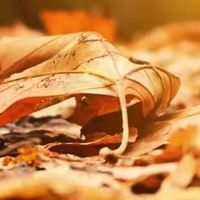 手机换电池后耐用吗？