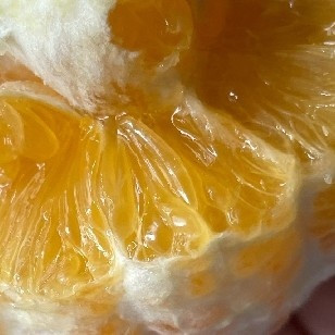 双11好吃喝上报，赣南脐橙口感清甜多汁补充维生素C