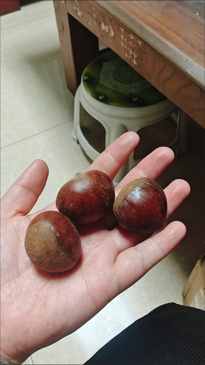 栗小胖蔬菜