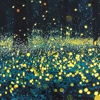 双十一选购大尺寸电视指南