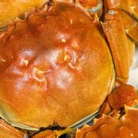 秋日清蒸大闸蟹的美味秘诀