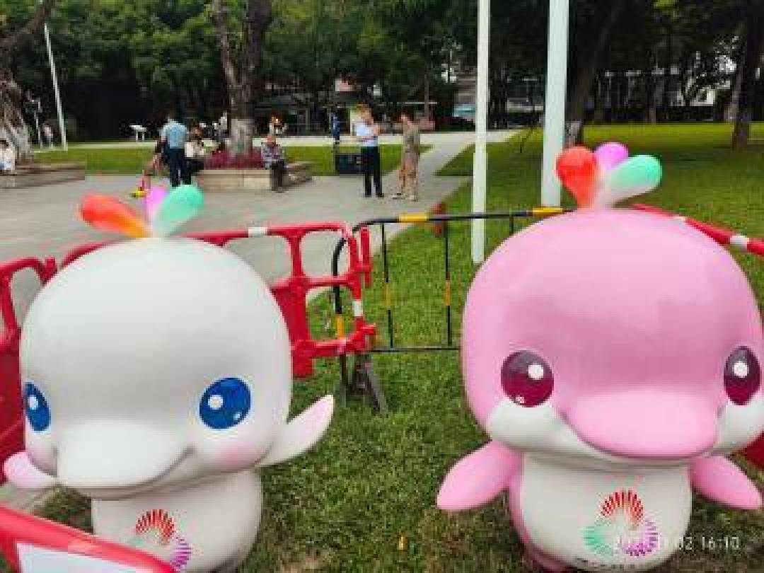 第十五届全运会吉祥物中华白海豚变“大湾鸡”
