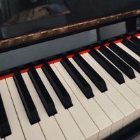 贝琪B338电钢琴评测：实木琴键体验