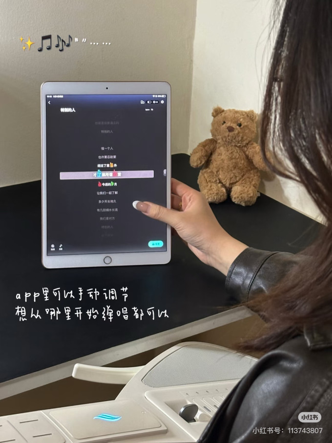 恩雅音乐西洋弦乐器