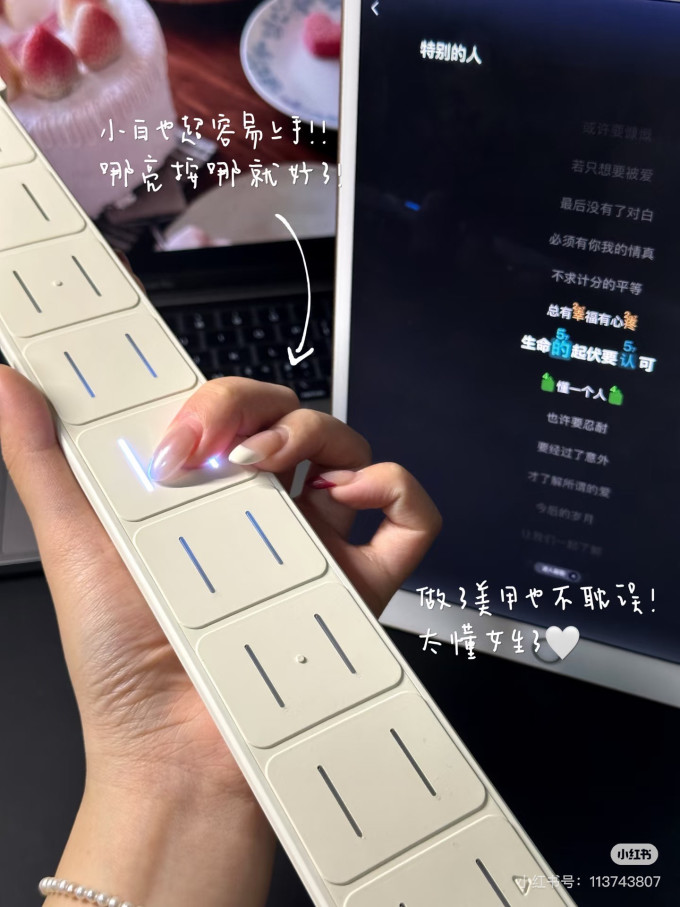 恩雅音乐西洋弦乐器