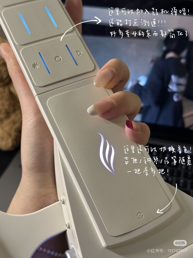 恩雅音乐西洋弦乐器