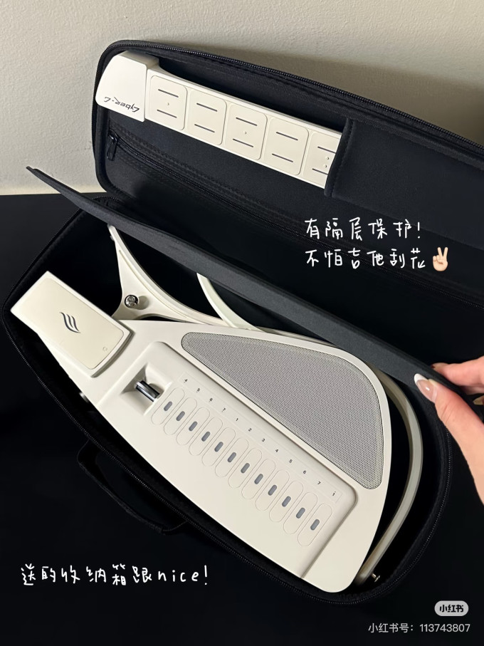 恩雅音乐西洋弦乐器