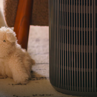 2025年双11高性价比空气净化器推荐| 哪款空气净化器实力最强？