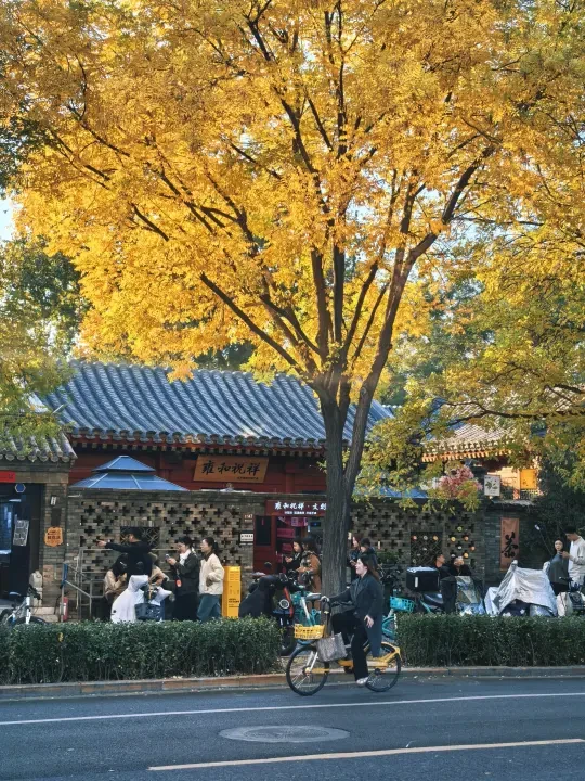 北平之秋🍁city walk 🔄
