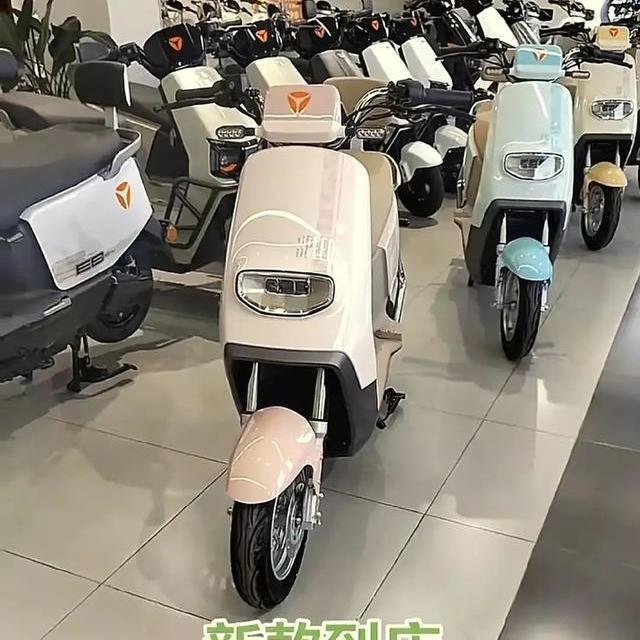 2025年买电动车,认准这5个品牌不会买错,并推荐该品牌最热车型