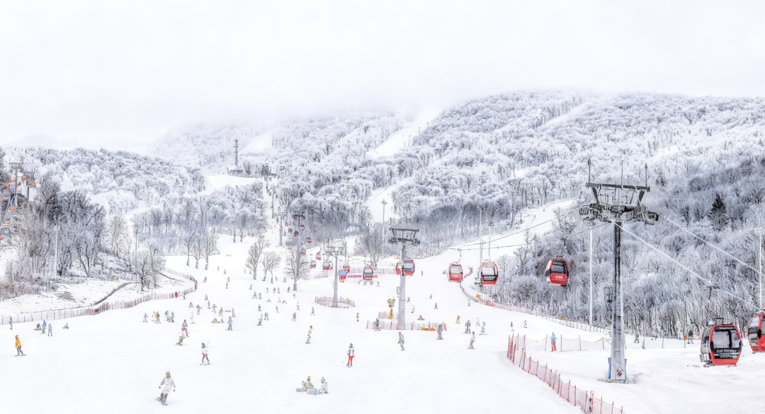 冰雪季陆续开板!看遍全网滑雪攻略吐血总结的全国滑雪地图来了