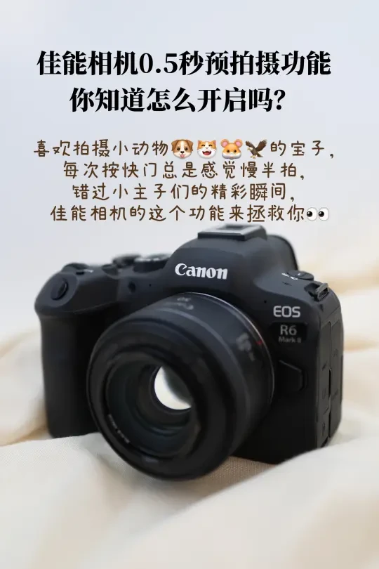👀佳能相机预拍摄功能有点东西，必须记住
