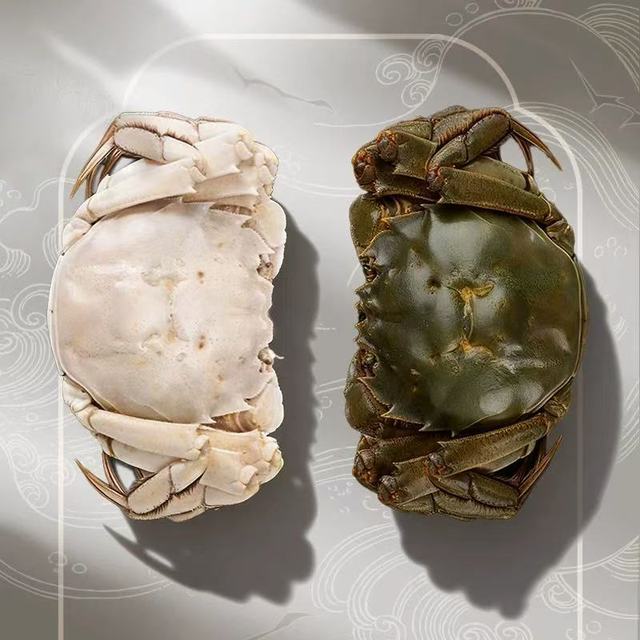蟹如愿白玉蟹：阳澄湖鲜韵直送，白甲金膏藏尽秋实之美
