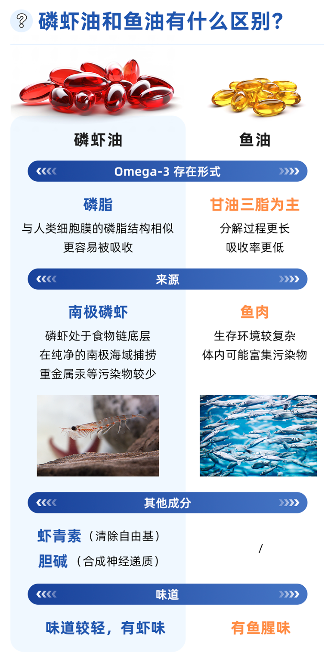 磷虾油 | 人体必需的一种营养，好处竟然这么多