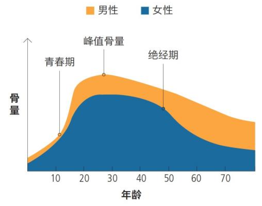 97%的人这种东西都没补够！