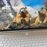 政补游戏本是什么样的？搭载锐龙处理器的电脑好吗？