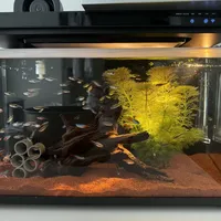 小米智能鱼缸是‘懒人福音’还是‘新手陷阱’？1200+用户观点大碰撞